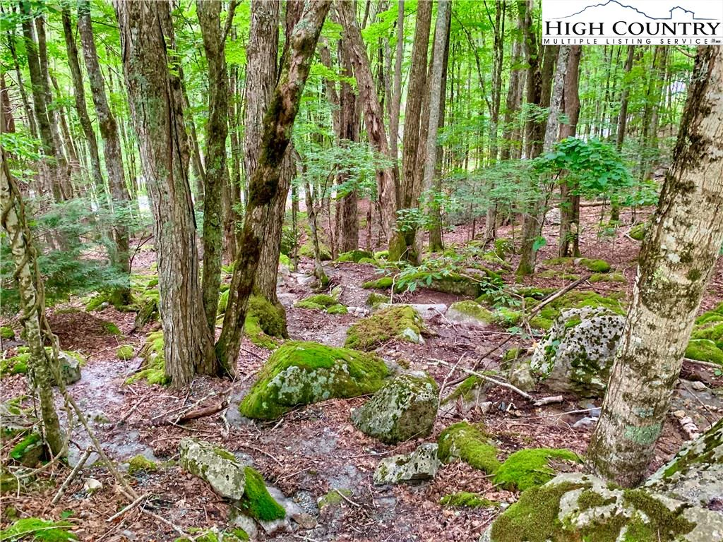 Image number 3 for the current listing