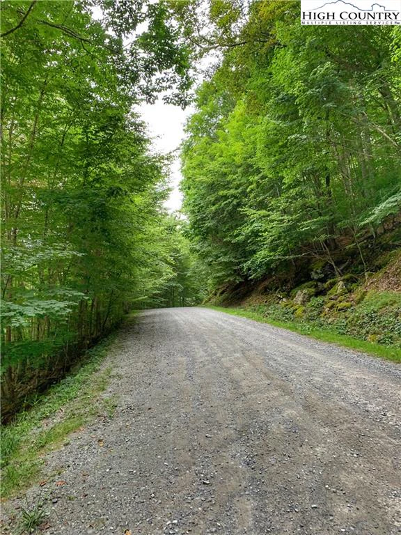 Image number 4 for the current listing