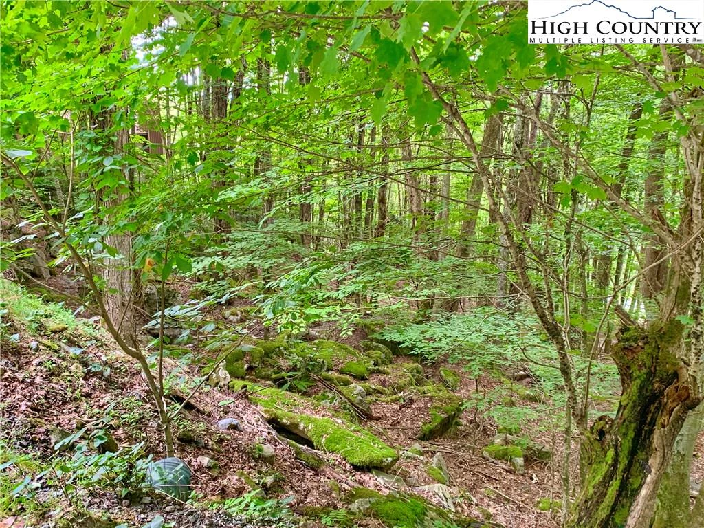 Image number 5 for the current listing