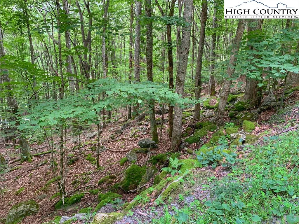 Image number 9 for the current listing