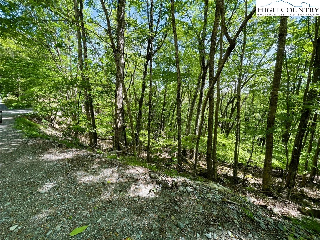 Image number 1 for the current listing