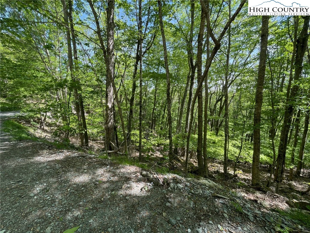 Image number 4 for the current listing