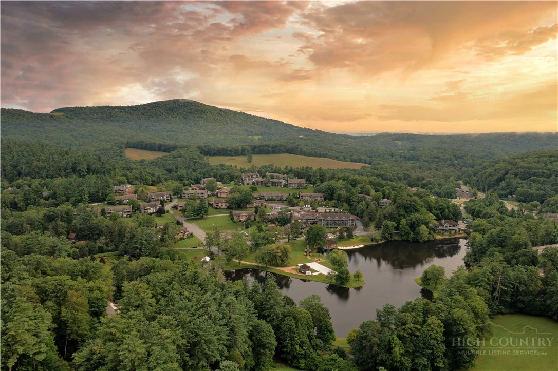 Image number 7 for the current listing