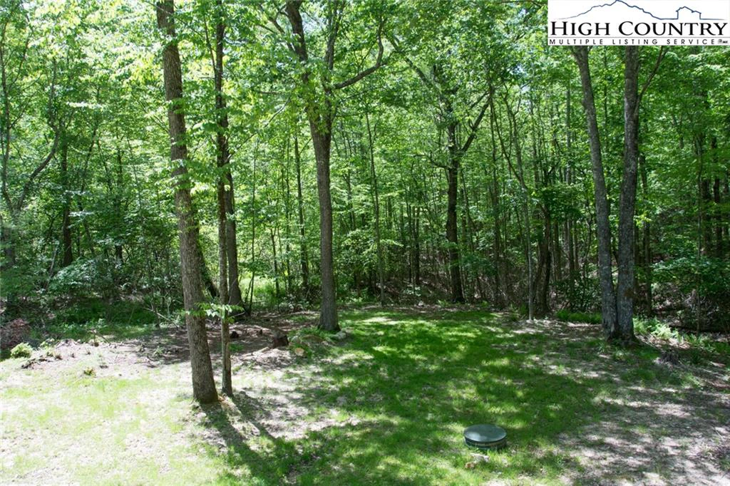 Image number 3 for the current listing