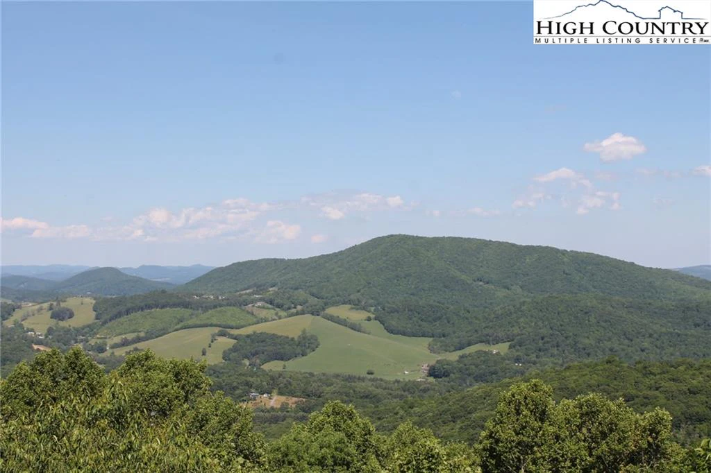 Image number 14 for the current listing