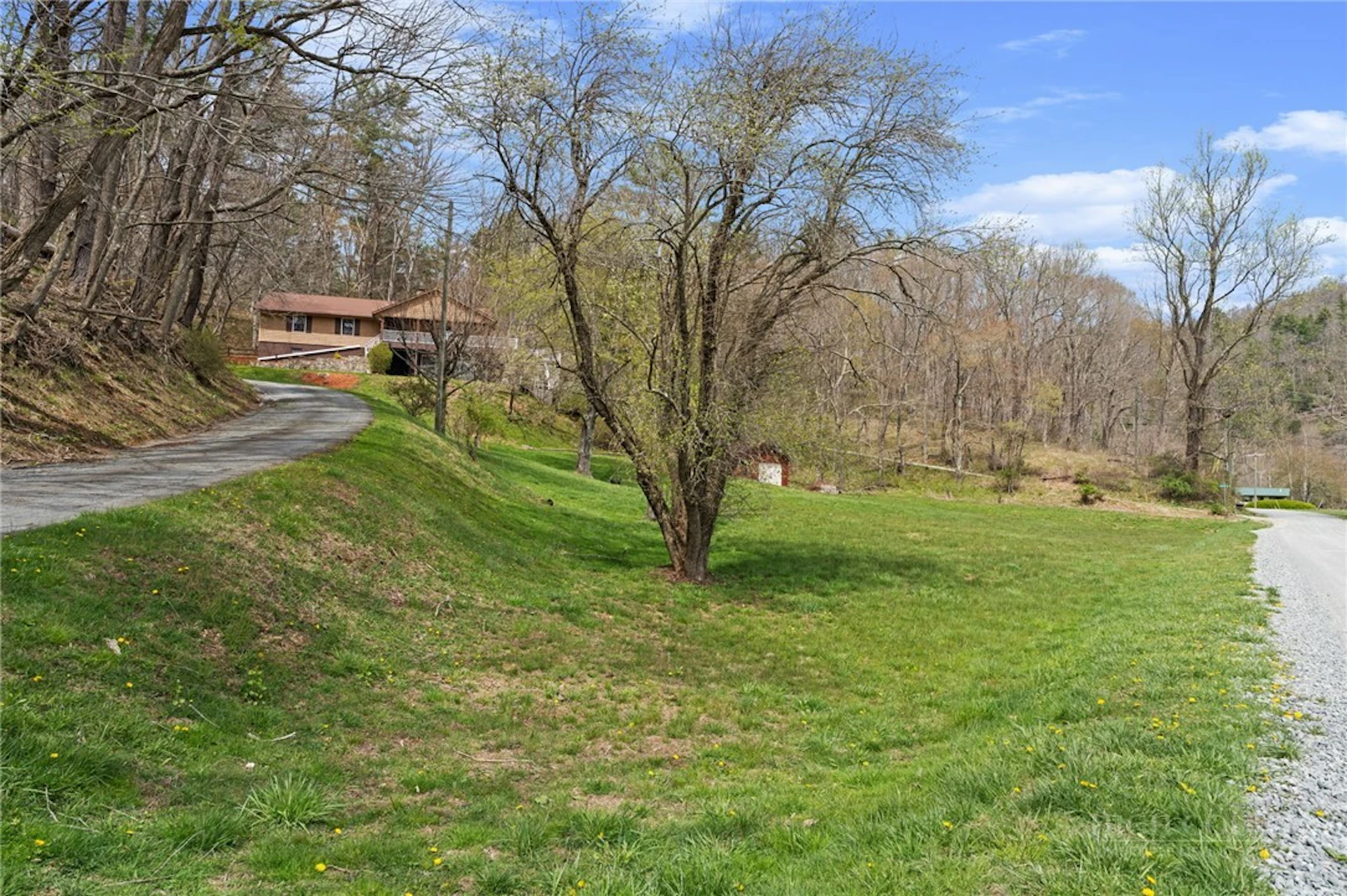 Image number 19 for the current listing