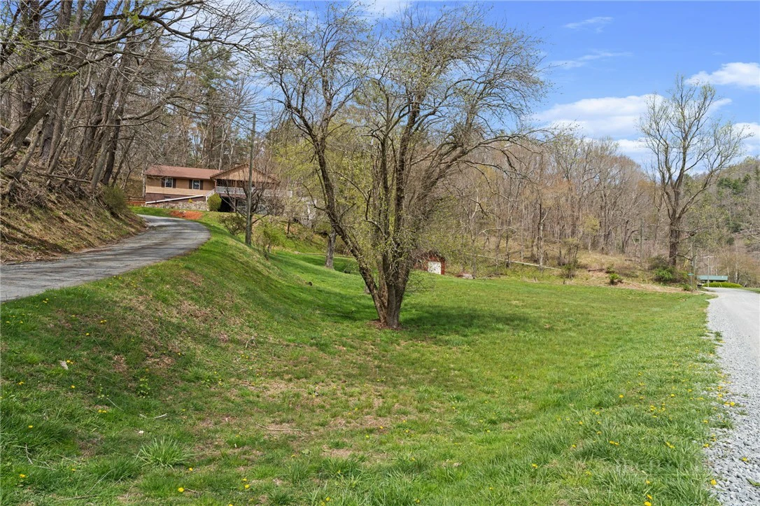 Image number 19 for the current listing
