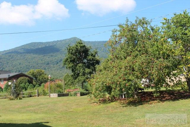 Image number 12 for the current listing