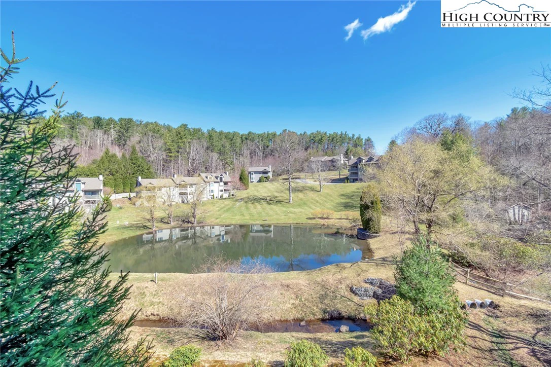 Image number 4 for the current listing