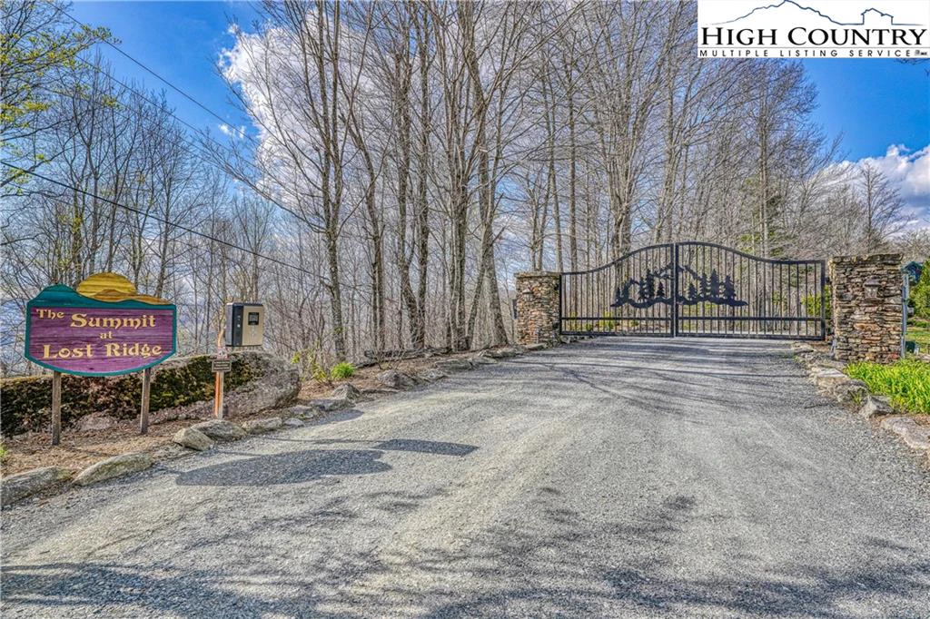 Image number 2 for the current listing