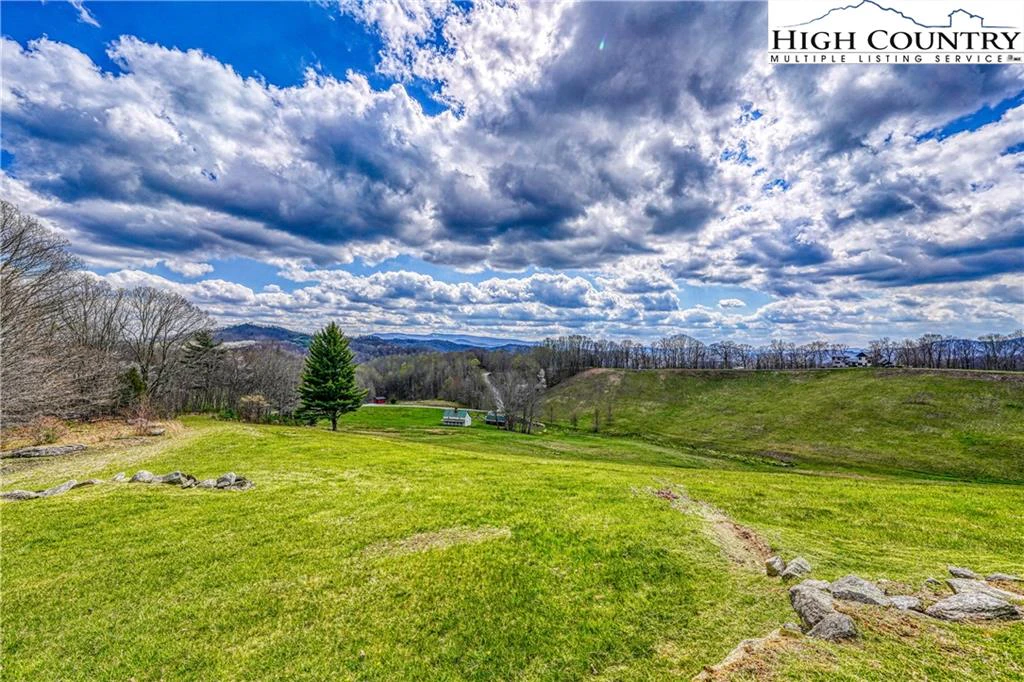 Image number 13 for the current listing