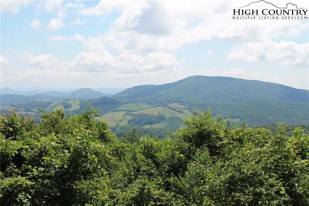 Image number 11 for the current listing