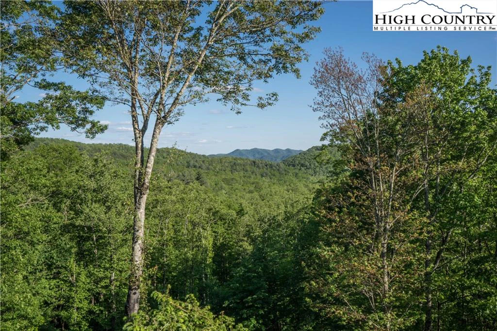 Image number 2 for the current listing