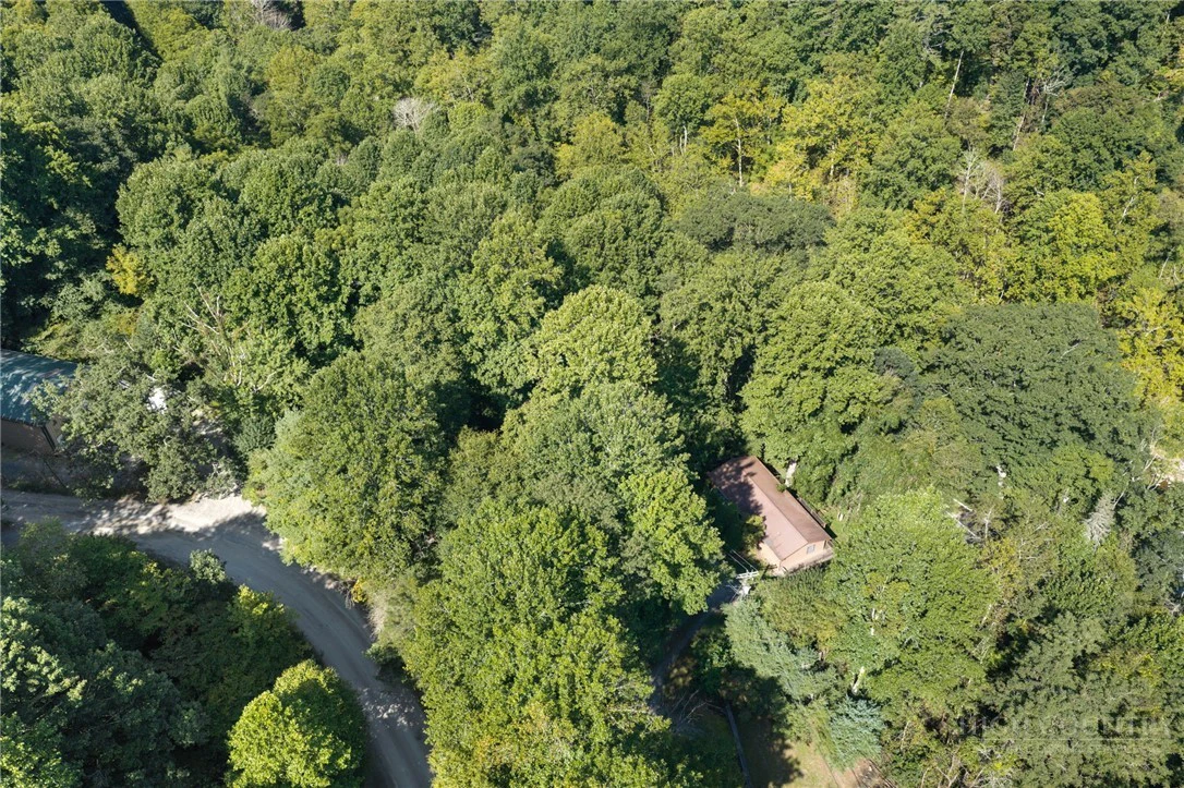 Image number 12 for the current listing