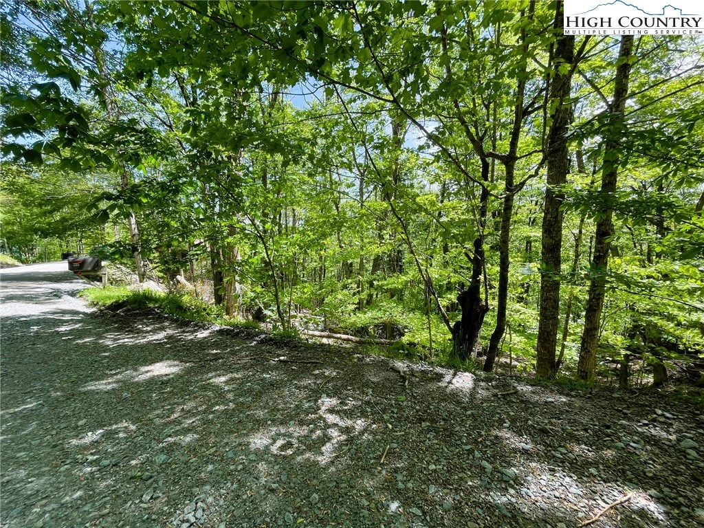 Image number 1 for the current listing