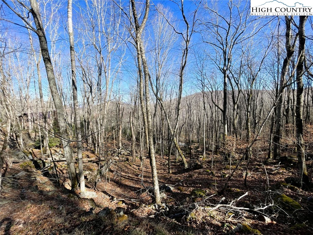 Image number 3 for the current listing