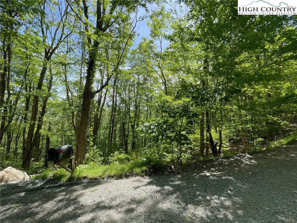 Image number 4 for the current listing