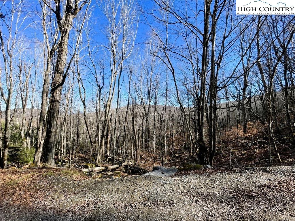 Image number 6 for the current listing