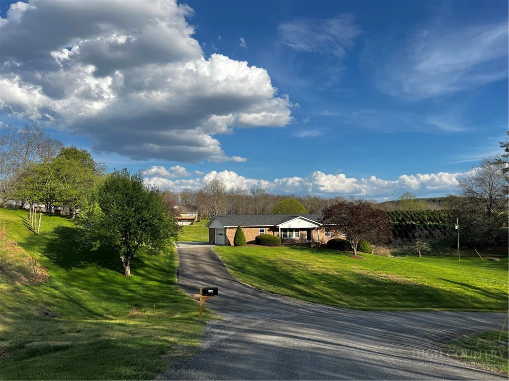 Image number 1 for the current listing