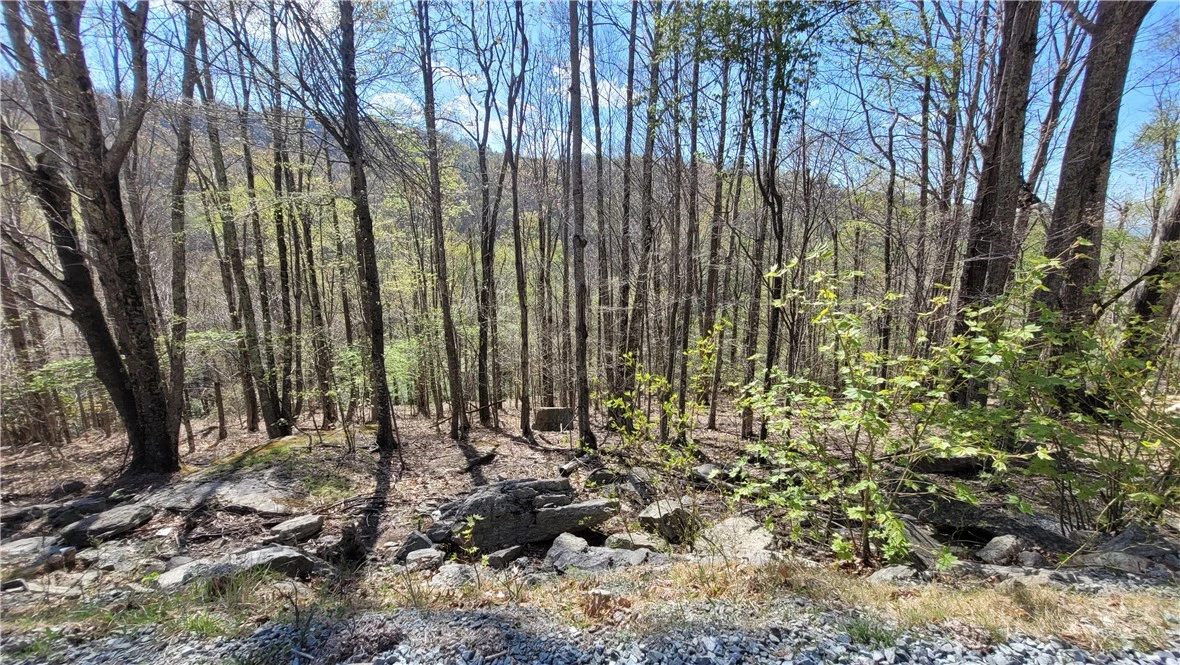 Image number 1 for the current listing