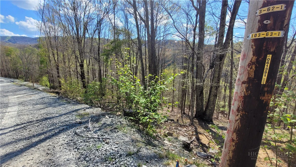 Image number 15 for the current listing