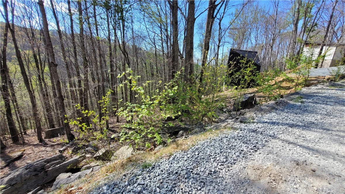 Image number 14 for the current listing
