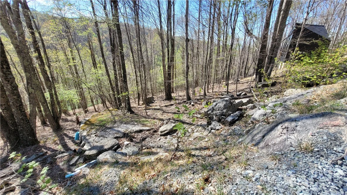 Image number 13 for the current listing