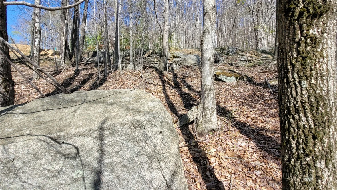 Image number 11 for the current listing