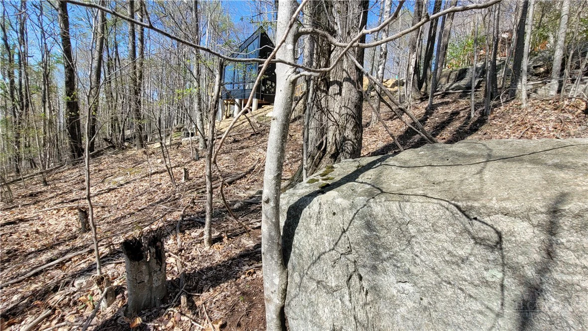 Image number 2 for the current listing