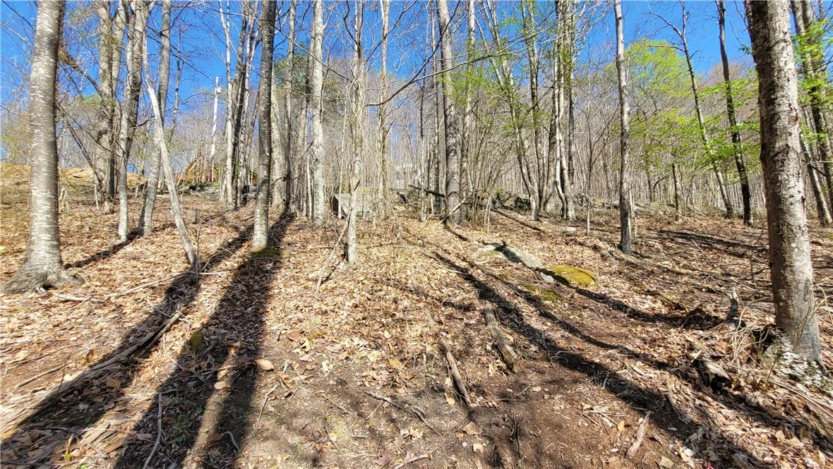 Image number 8 for the current listing