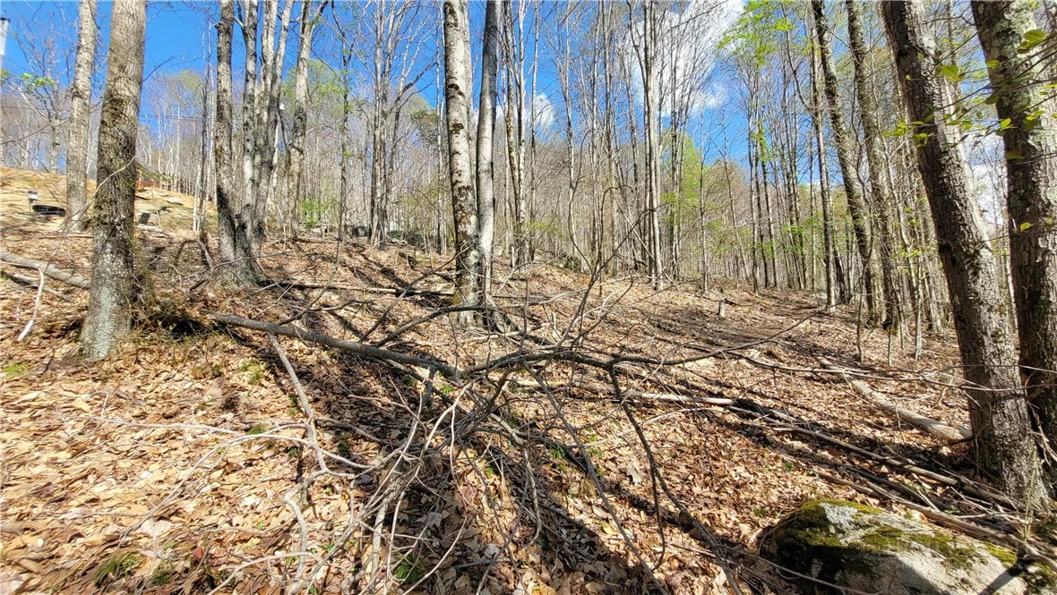 Image number 7 for the current listing
