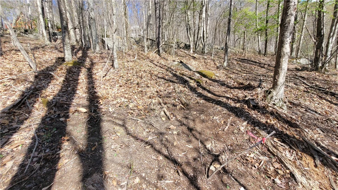 Image number 6 for the current listing