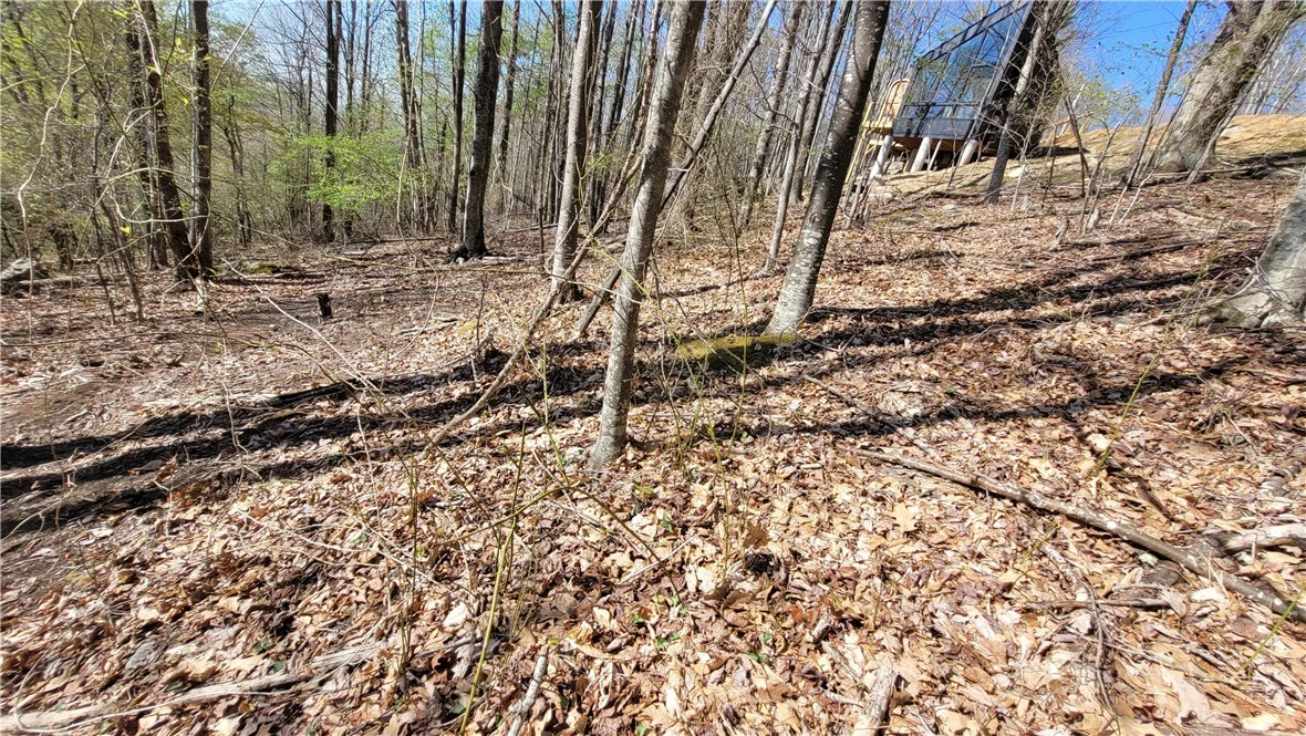 Image number 5 for the current listing
