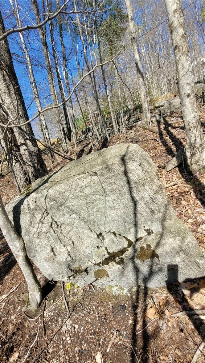 Image number 4 for the current listing