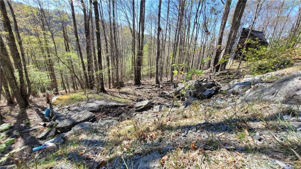 Image number 3 for the current listing