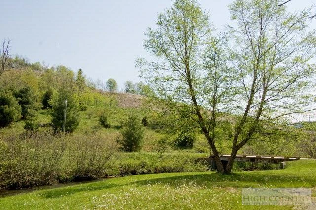 Image number 14 for the current listing