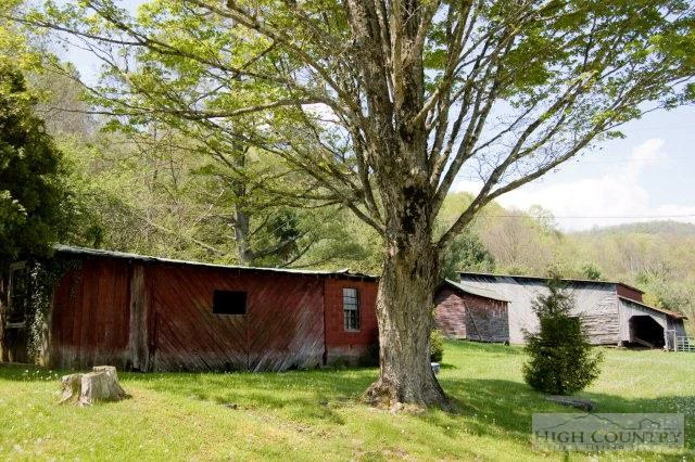 Image number 12 for the current listing