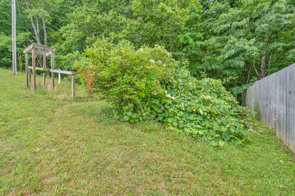 Image number 12 for the current listing