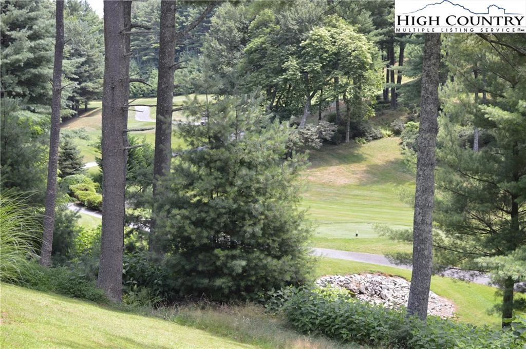 Image number 9 for the current listing