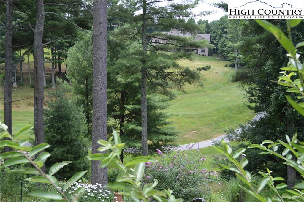 Image number 16 for the current listing