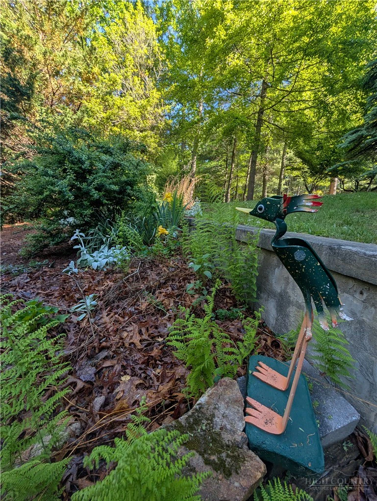 Image number 15 for the current listing