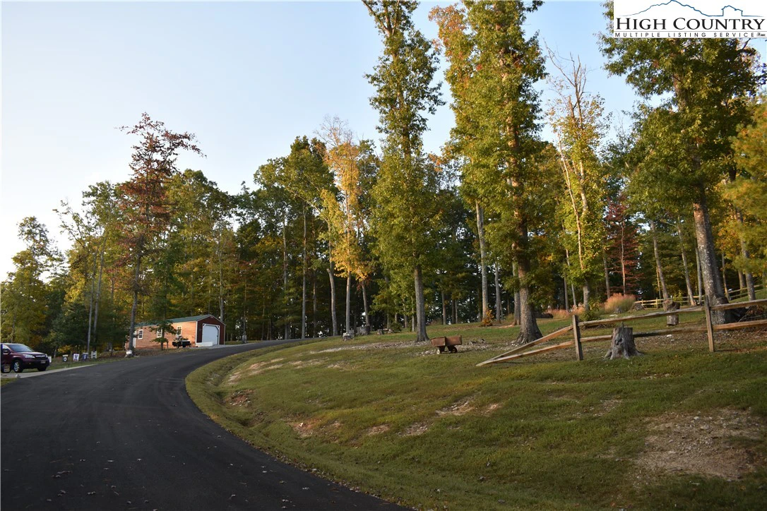 Image number 1 for the current listing