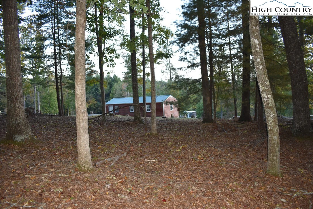 Image number 8 for the current listing