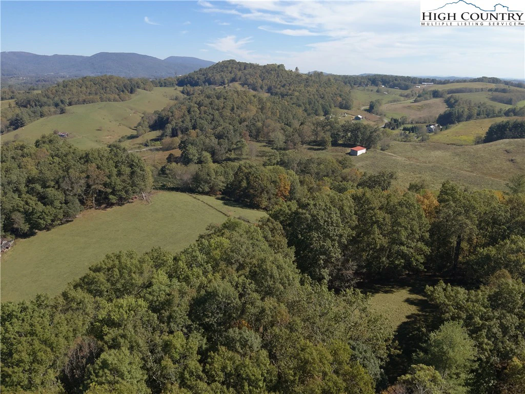 Image number 13 for the current listing