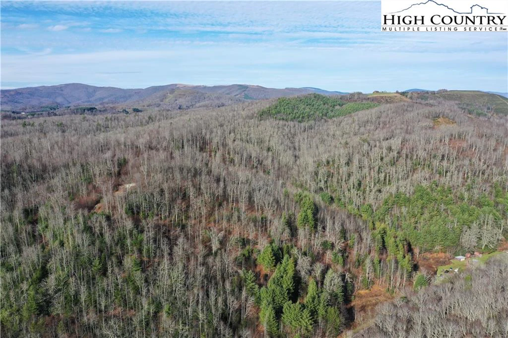 Image number 1 for the current listing