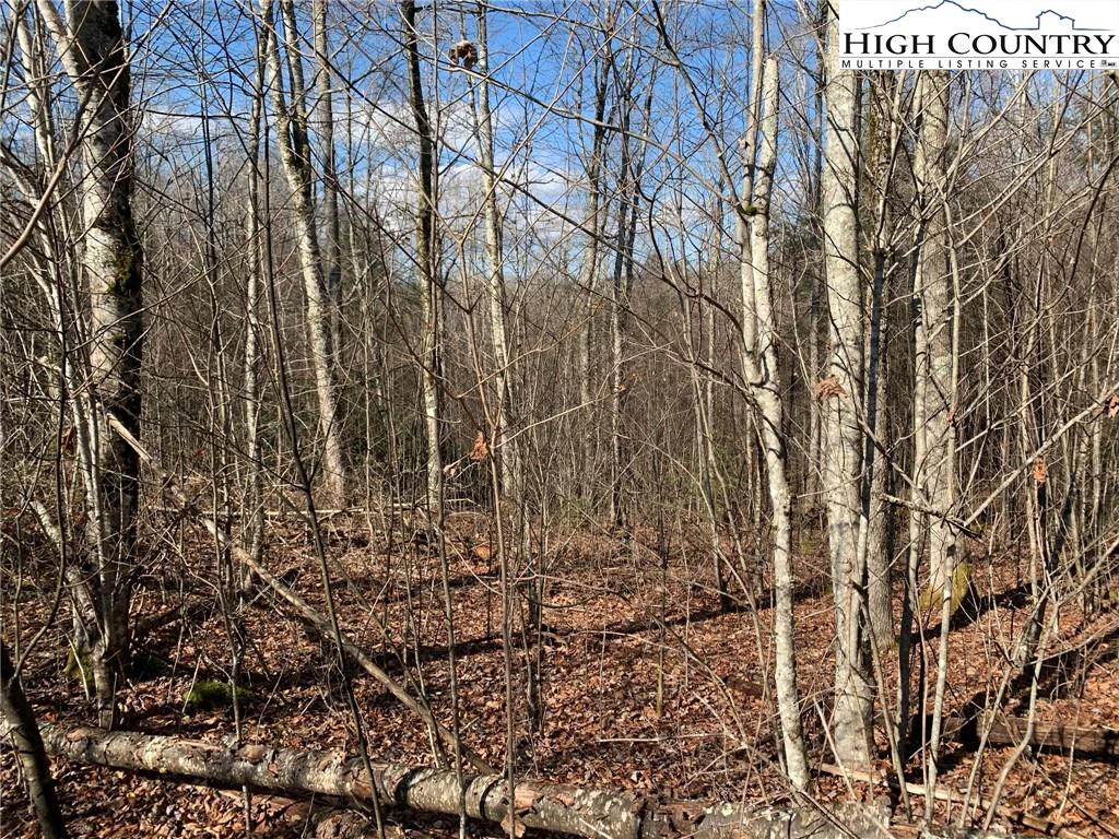 Image number 11 for the current listing