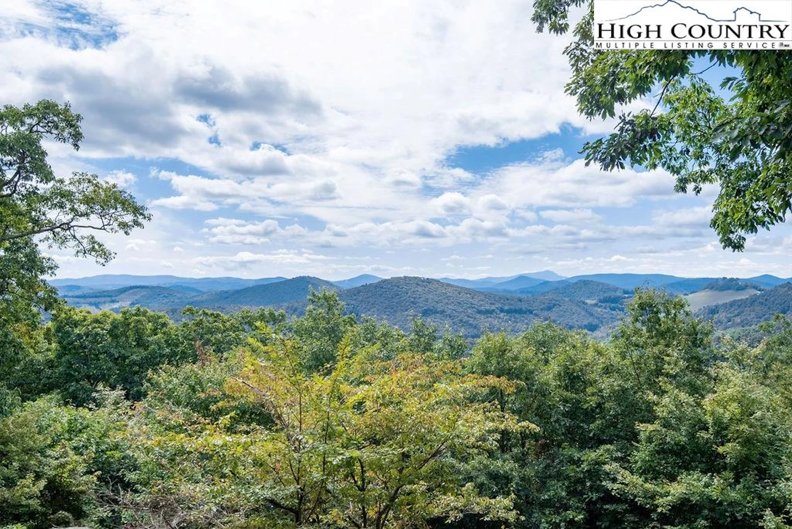 Image number 1 for the current listing