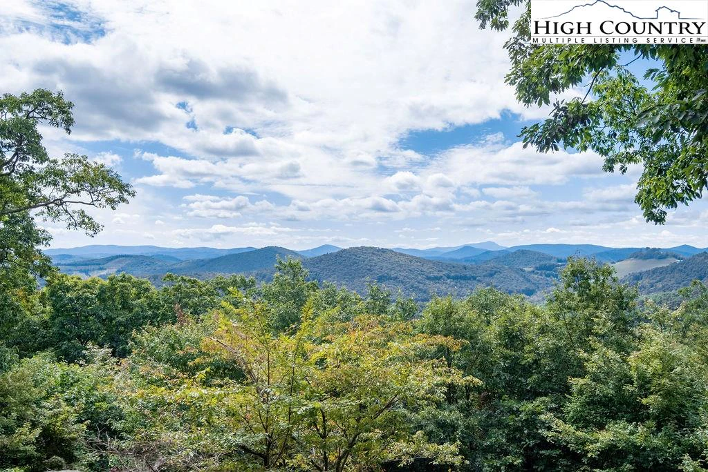 Image number 1 for the current listing