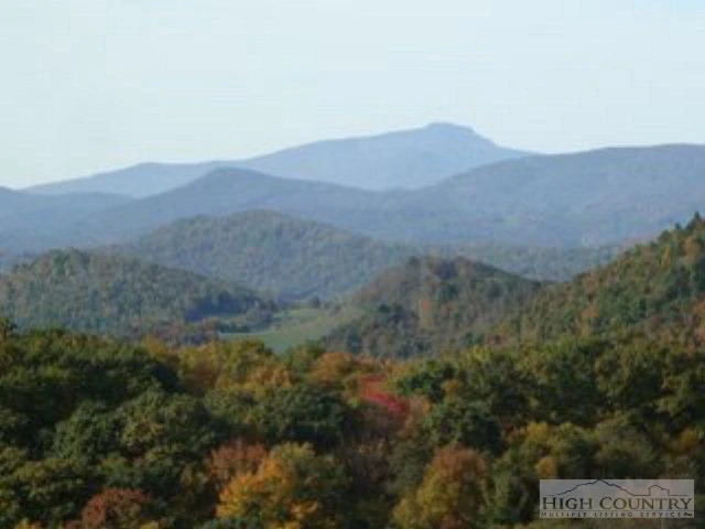 Image number 8 for the current listing