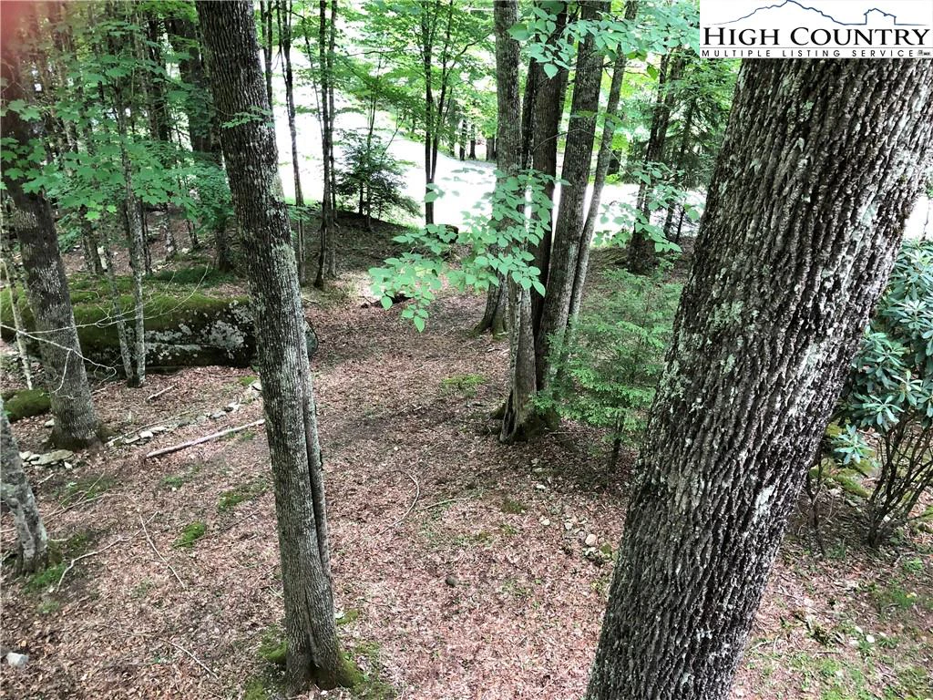 Image number 7 for the current listing
